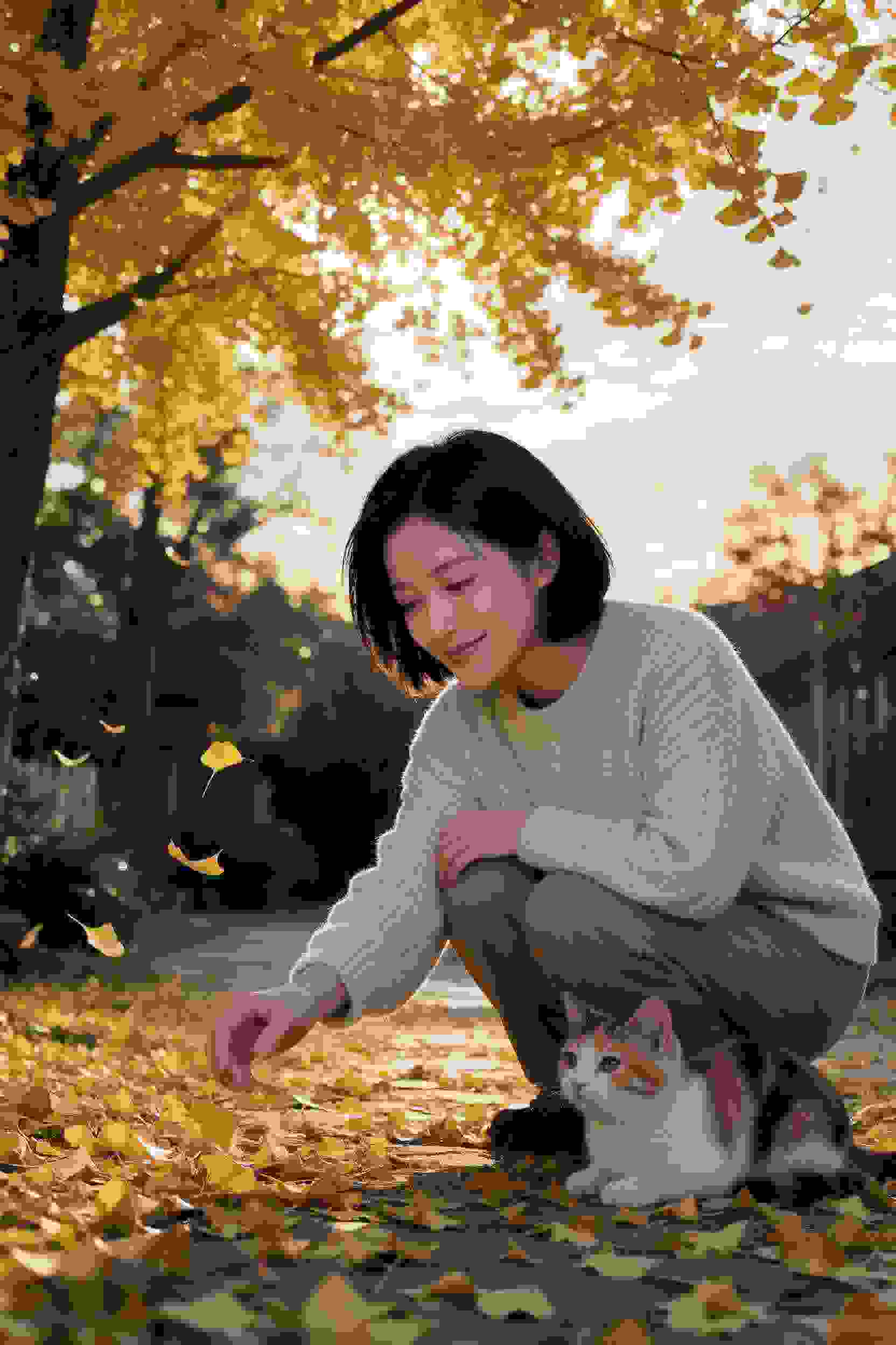 漫改作品